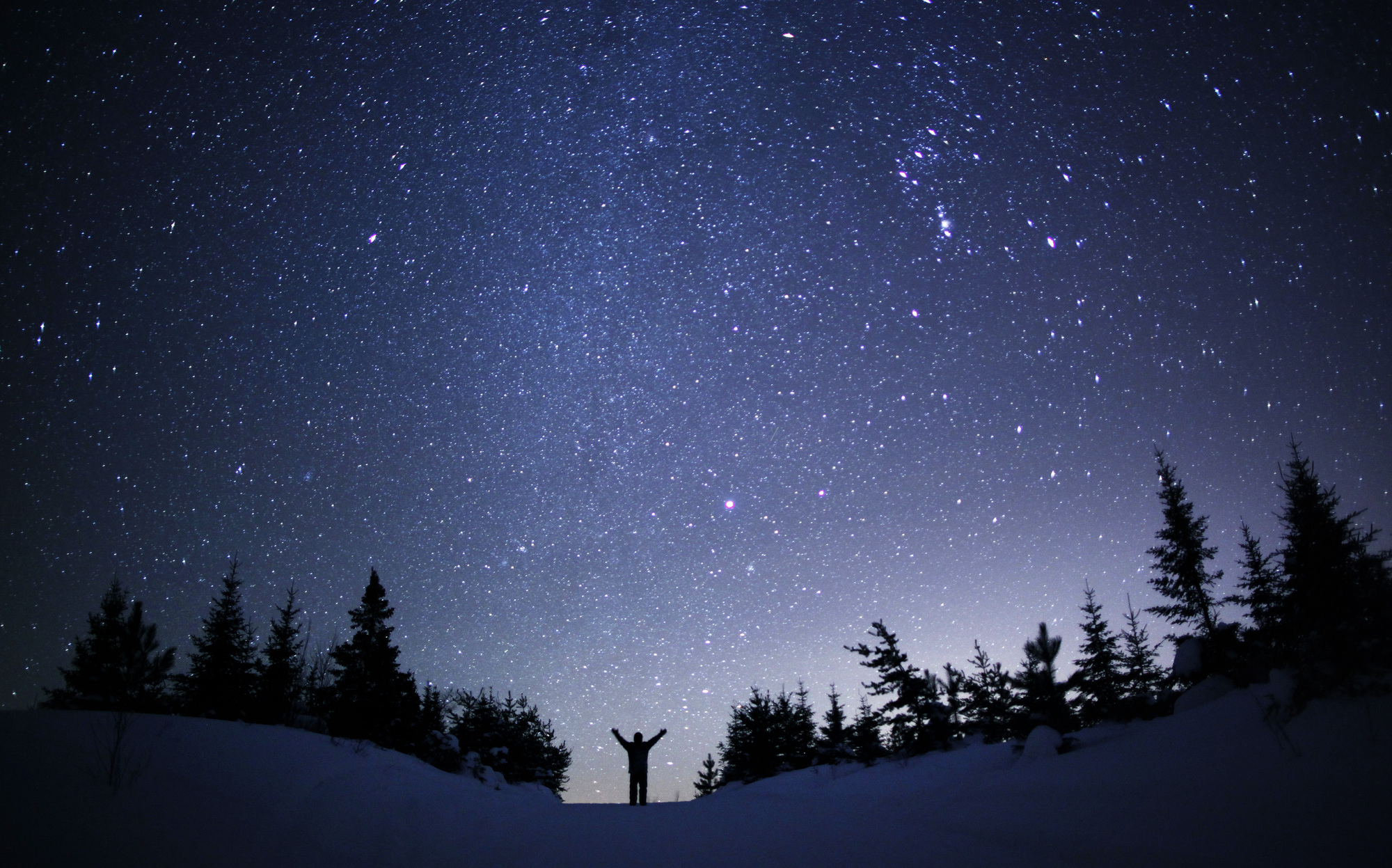 Let Orion Lead You On Winter Night Sky Tour - Name A Star