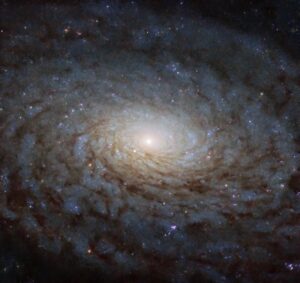 Spiral_Galaxy-NGC_4380