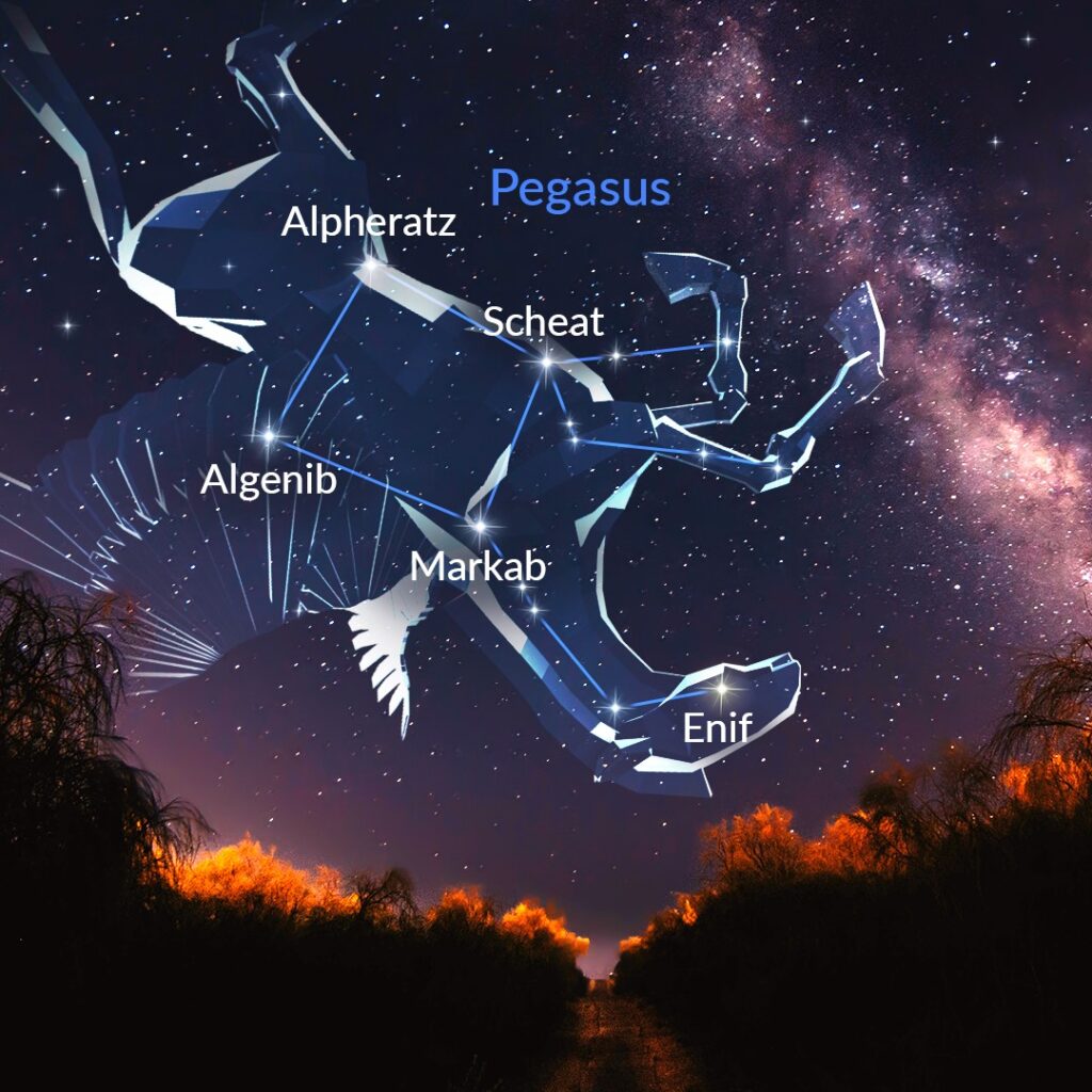 Pegasus_constellation_winged_horse_adapted_by_Chris_Vaughan